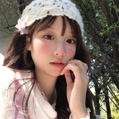 谍网纵横